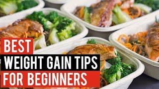 DIET tips Best WEIGHT GAIN tips for BEGINNERS Part 11 of 25 Hindi  Punjabi [upl. by Trenna]