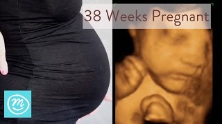 38 Weeks Pregnant What You Need To Know  Channel Mum [upl. by Eseekram889]