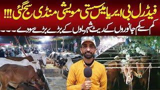 F B Area Cow Mandi  Karachi New Maweshi Mandi  Mandi Updates  Karachi Public [upl. by Ahsiyn]