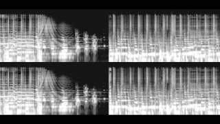 Spectrogram Aphex Twin  Windowlicker analysis [upl. by Aioj33]