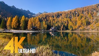 Italian Dolomites  Fall in the Alps  4K Nature Documentary  Episode 1 [upl. by Cassi]