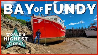 🍁😲 Bay of Fundy Tides are INCREDIBLE Where to See Worlds Highest Tides  Newstates eh 🍁 Ep 10 [upl. by Enneirda816]