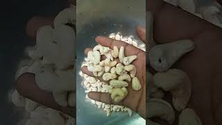 Cashew Nut W320  Available on IndiaMART [upl. by Abott]