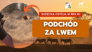 SUDECKA OSTOJA 622023 Ciężki podchód w buszu Polowanie na Lwa 2 lion hunting Löwenjagd [upl. by Nesyla524]