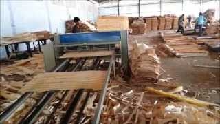 Spindleless Log Peeling Veneer Production Line JAMUNA ENGINEERING COMPANY 919896015530 [upl. by Relyt]