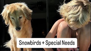 Snowbirds amp Special Needs [upl. by Haneeja740]