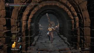 Dark Souls 3 Catacombs Of Carthus Secret Shortcut [upl. by Rosenblatt]