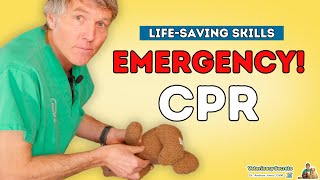 Pet CPR Essentials New Step by Step Guide [upl. by Aiekam146]