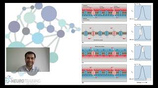 Potencial de acción explicado por neurólogo [upl. by Vogele123]