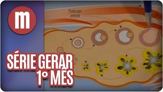 Série Gerar 1 O primeiro mês de gravidez  Mulheres [upl. by Byers325]