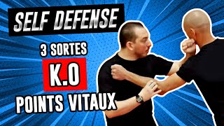 3 types de KO en KYUSHO JITSU Points de pression  Self défense [upl. by Haelam903]