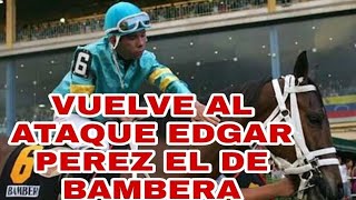 EDGAR PEREZ CAZA EN GULSFTREAM PARK  AL ATAQUE EL VENEZOLANO  hipismo en vivo [upl. by Fernald]