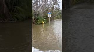 sanibelisland hurricanehelene Middle Gulf going under stormsurge flood [upl. by Arinayed650]