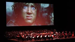 Samwise Gamgee Vs Shelob live orchestra Barcelona 16423 [upl. by Lower765]