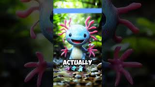 Weird creature found in Australia usus usa true history learnontiktok [upl. by Anoy]