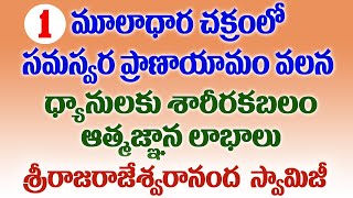 1మూలాధారచక్రంలో సమస్వరా ప్రాణాయామం ధ్యానులకు శారీరక ఆత్మజ్ఞాన లాభాలు శ్రీ రాజరాజేశ్వరానంద స్వామి [upl. by Nagirrek]