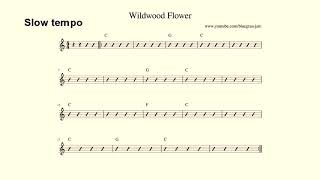 Wildwood Flower Slow Tempo [upl. by Leigh726]