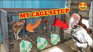 🐓🤩My cage setup   petsfoldertamil [upl. by Letty794]