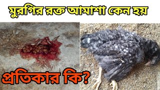 রেটিনায় রক্ত জমে যাবার কারন  চোখে রক্ত জমে যাবার কারণ  চোখে রক্ত জমলে করণীয়  Blood Clot In Eyes [upl. by Serge]