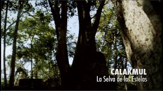 Calakmul la selva de las estelas PIEDRAS QUE HABLAN [upl. by Annayad459]