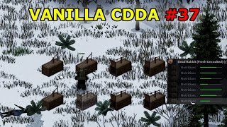 Vanilla Project Zomboid CDDA Challenge 37  Full Gameplay [upl. by Anaert]