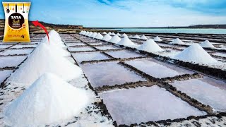 How Salt Is Made In Factory  Sea Salt Manufacturing Process  Tata Salt Production  Food Factory [upl. by Fortunato25]