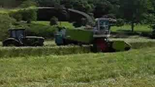 Cutting Whole Crop Triticale With a Claas 900 [upl. by Farro822]