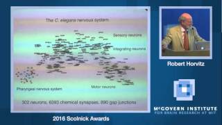 Cornelia Bargmann Genes Neurons Circuits and Behavior 2016 Scolnick Prize Lecture [upl. by Eitsim]