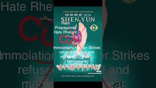 Falun Gong Falun Dafa Shen Yun Cult [upl. by Herald]