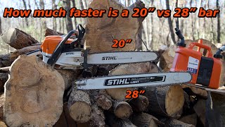 Real world test of a 28” bar VS a 20” bar  Stihl MS362C with barkbox [upl. by Hermosa]