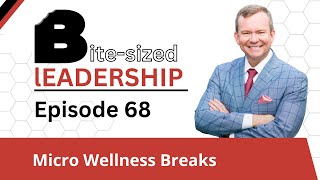 BSL Episode 68 Micro Wellness Breaks [upl. by Rimat]