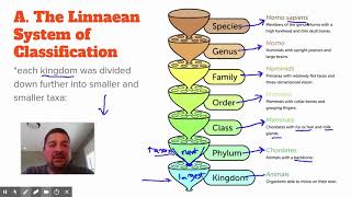 Sec 102  The Linnaean System of Classification [upl. by Ahseya]