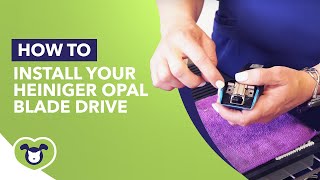 How to Install Your Heiniger Opal Blade Drive amp Blade Lock [upl. by Olivia]