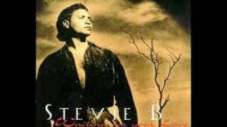 Stevie B  Waiting For Your Love [upl. by Bautista158]