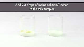 Is your milk adulterated with starch Here is how you can check it through a simple test FSSAI [upl. by Suiratnauq]