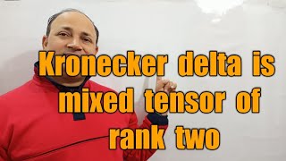 kronecker delta is mixed tensor of rank two tensor algebra bsc Msc maths in hindi by Hd sir [upl. by Scoter]