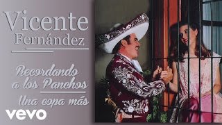 Vicente Fernández  Una Copa Más Cover Audio [upl. by Adnotal]