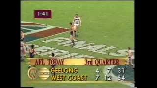 AFL 1991 Preliminary Final West Coast Vs Geelong [upl. by Eanehs56]