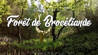 TIMELAPSE DE LA FORET DE BROCELIANDE [upl. by Eicats950]