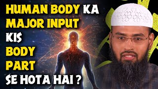 Human Body Ka Major Input Kis Body Part Se Hota Hai  By Adv Faiz Syed [upl. by Enineg906]