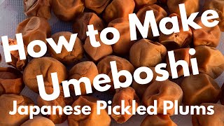 How to Make Umeboshi 梅干 Part 1 of 3 [upl. by Refotsirk892]