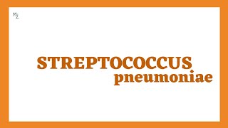 Streptococcus pneumoniae or Pneumococcus Lecture in Detail [upl. by Nhguaval84]