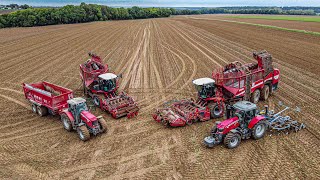 🤩 Team Grimme au arrachage de Betterave 2022  ETA Defacque  épisode 2 Ouestagri vidéo en Picardie [upl. by Naharba]