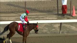 Travis Stone Announces at Aqueduct 110914 [upl. by Bonita]