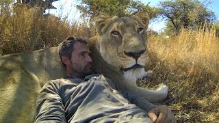 GoPro Lions  The New Endangered Species [upl. by Kcinom621]