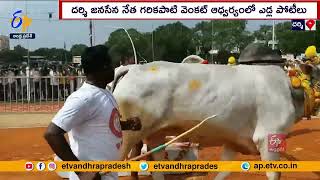 దర్శిలో ఒంగోలు జాతి ఎద్దుల పోటీలు  Bull Race in Darsi  Ahead of Sankranti Festival [upl. by Ofelia485]