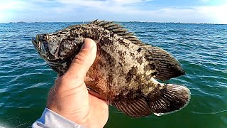 FLORIDA INSHORE FISHING IN THE INDIAN RIVER [upl. by Ennaid]