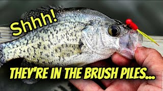 3 Different Ways to Catch MORE CRAPPIES Tips and Techniques [upl. by Dunc]