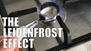 The Leidenfrost effect [upl. by Zsa]