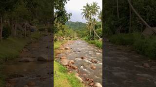 Syurga Dunia Tersembunyi di tanah tinggi Banjaran Titiwangsa 📍Pos Kuala Mu part2 [upl. by Kramer]